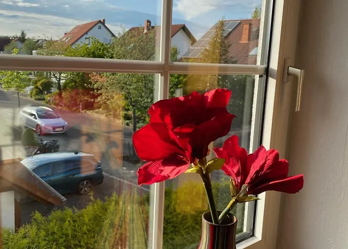 Herberts Nest Mit Style In 公寓 *